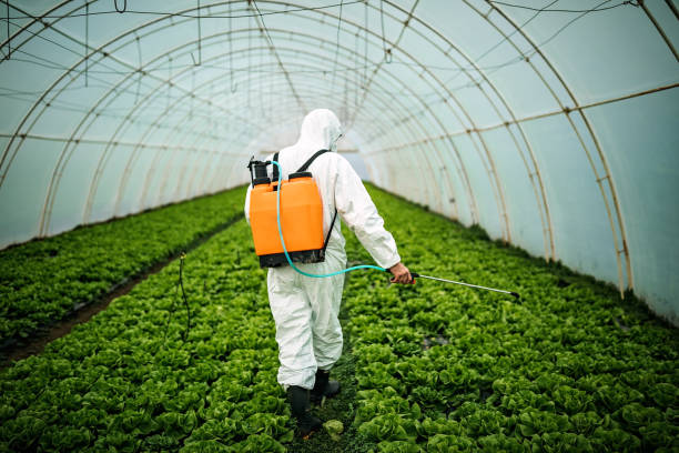 Best Mosquito Control Services  in Harvest, AL