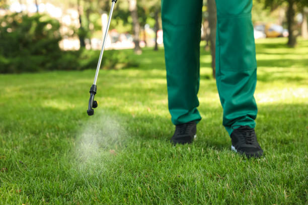 Best Pest Control for Homes  in Harvest, AL