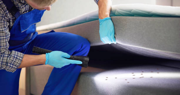 Best Ant Control Services  in Harvest, AL