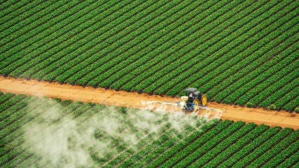 Bird Control in Harvest, AL