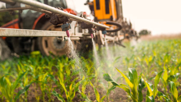 Pest Prevention Services in Harvest, AL